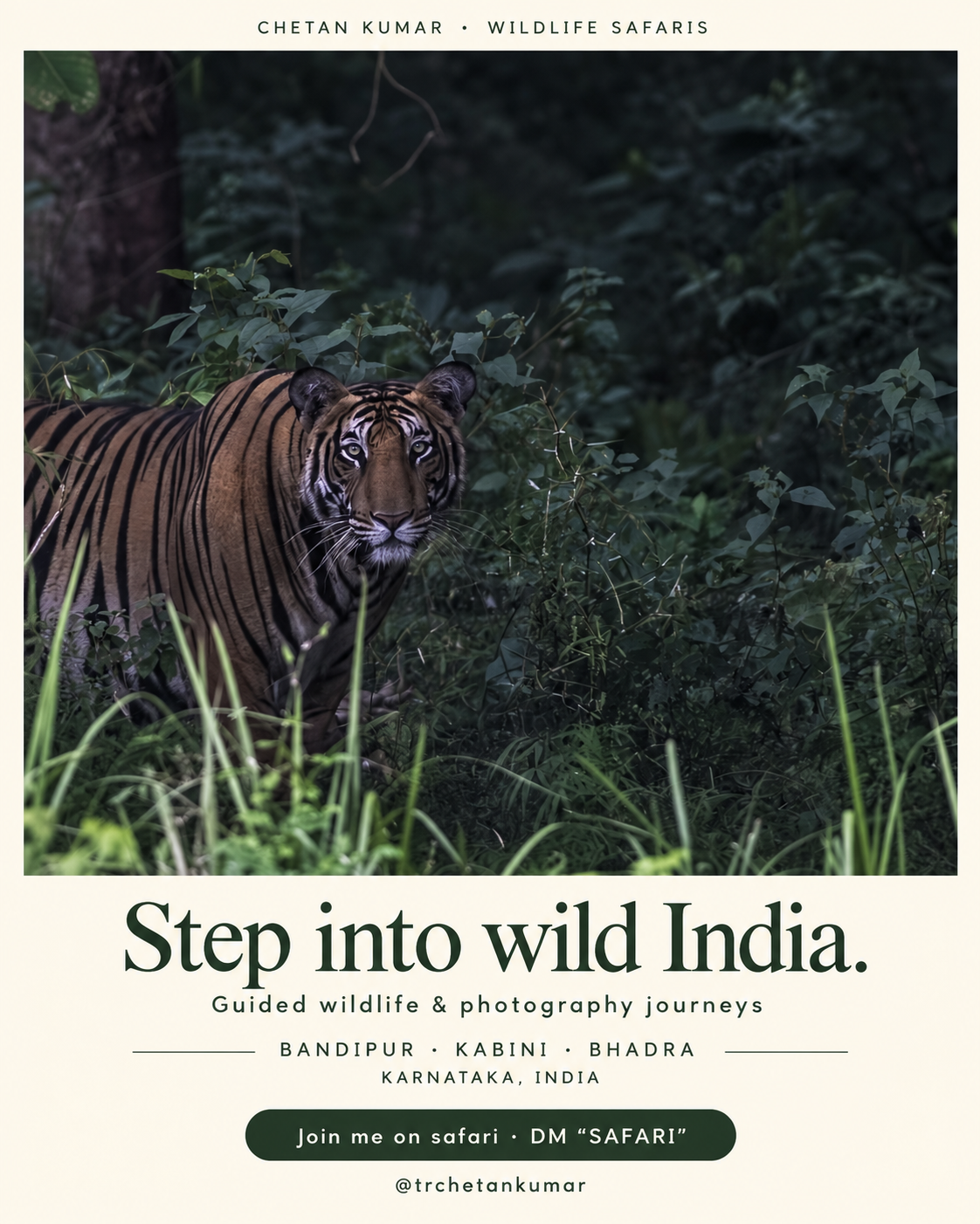 Chetan Kumar’s original tiger banner: Step into wild India